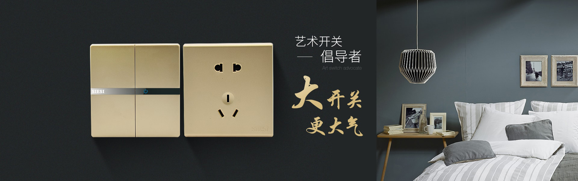 艺术开关倡导者 大开关 更大气