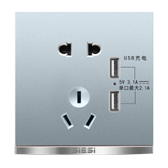 10A二三极插座带双USB